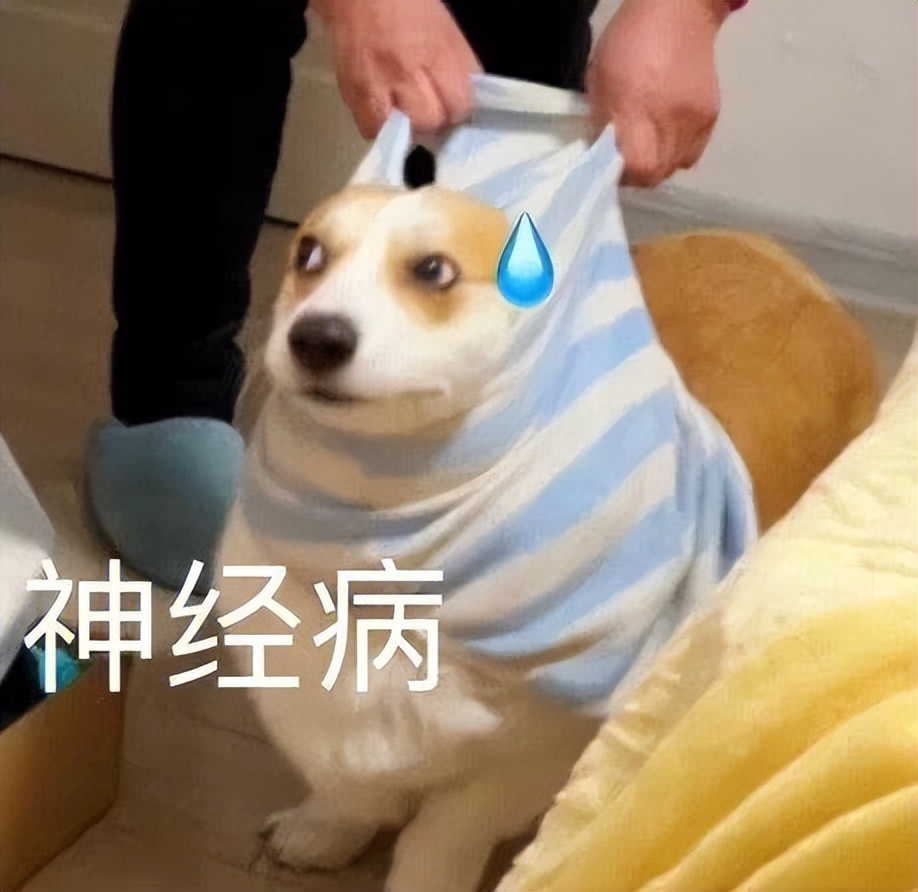 狗狗挑食怎么办最有效的方法,怎么纠正狗狗挑食的习惯