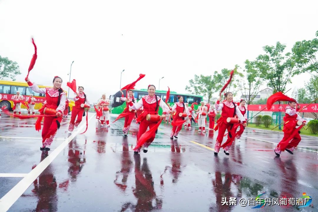 2024第五届丹凤西部红酒节,2024丹凤红酒节