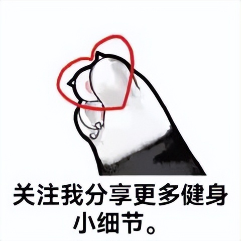 家用健身房器械,健身房哪个器械能使背变薄