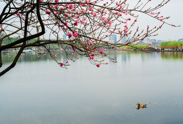 比海参更好的海鲜,海参鲍鱼鲜活海鲜