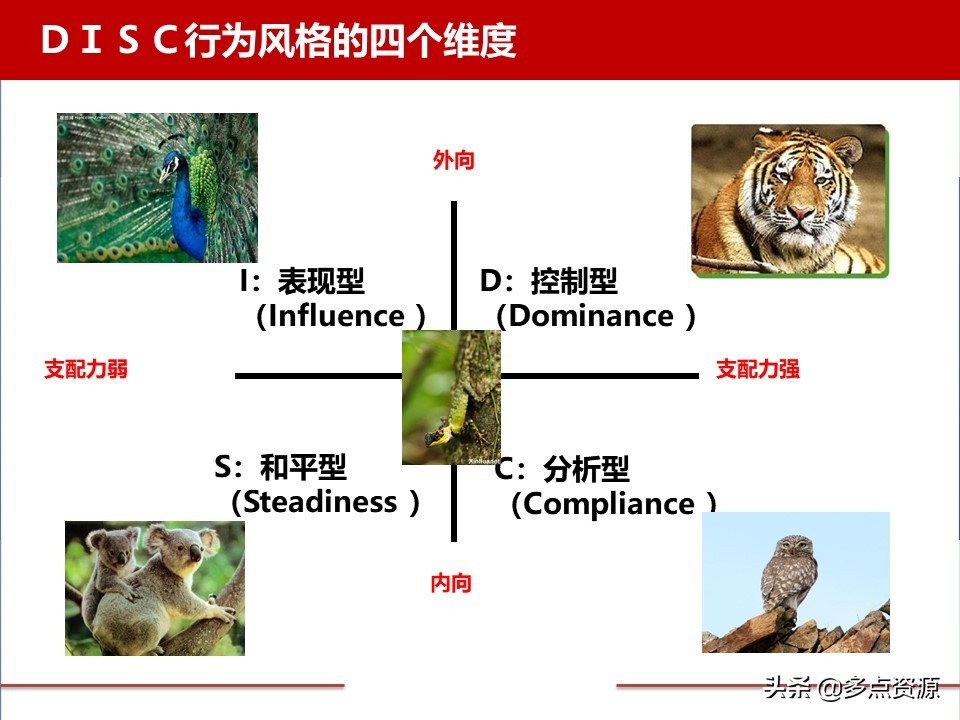 disc案例分析,disc行为测试