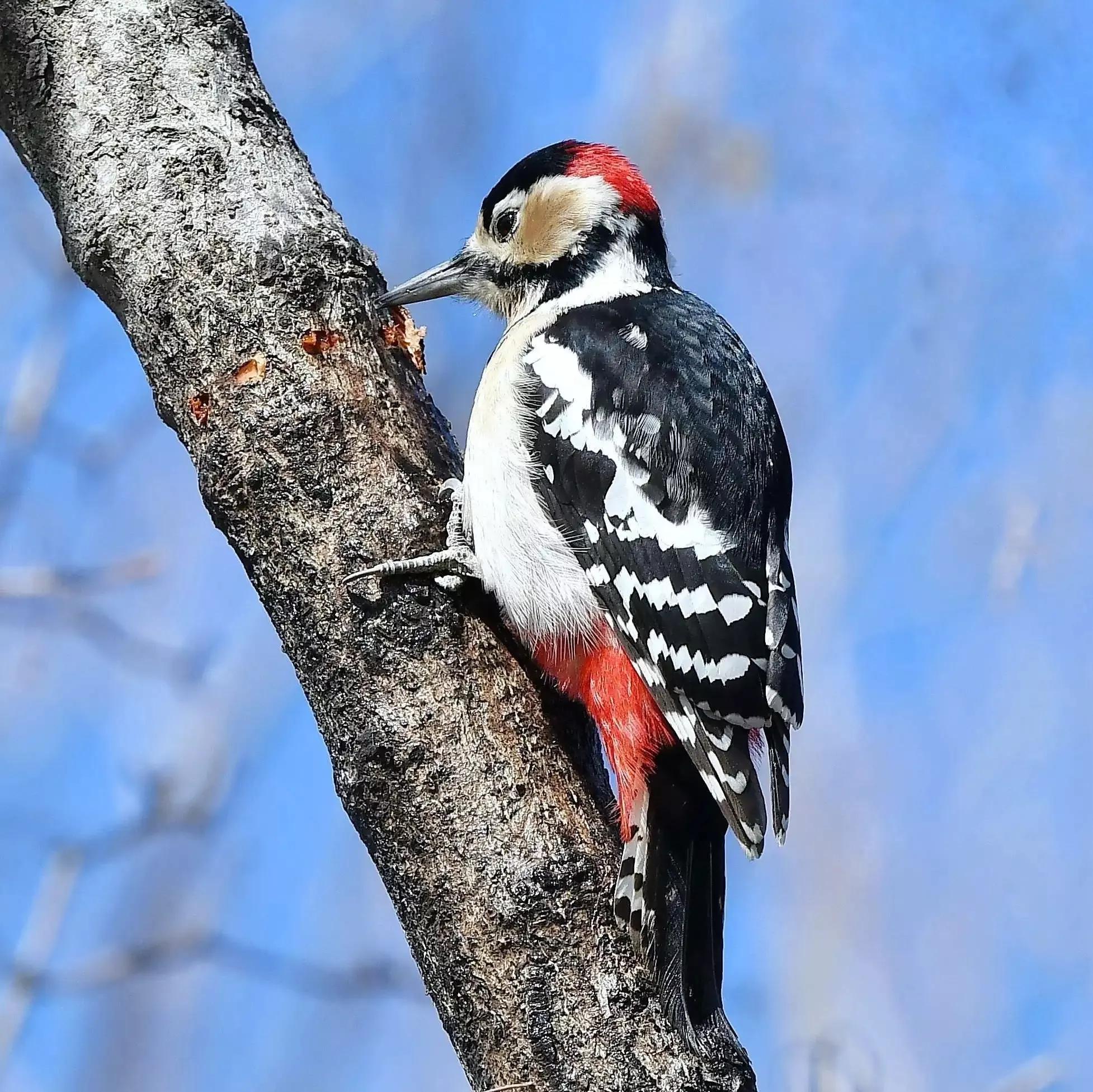 谷雨节气的含义是什么,谷雨节气介绍