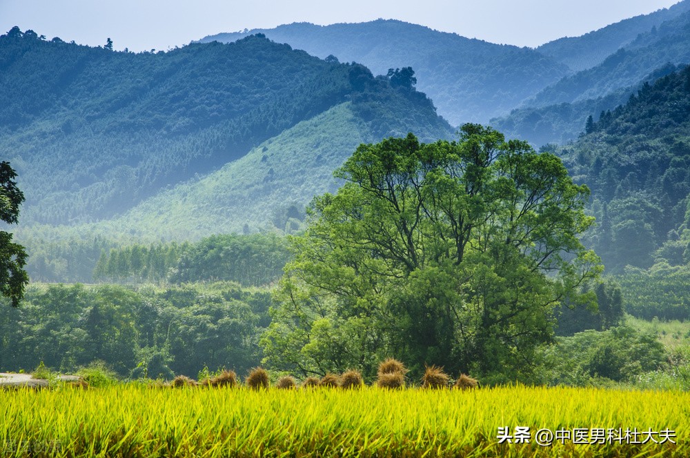 怎么补五脏六腑之精气,补五脏六腑最简单有效的方法