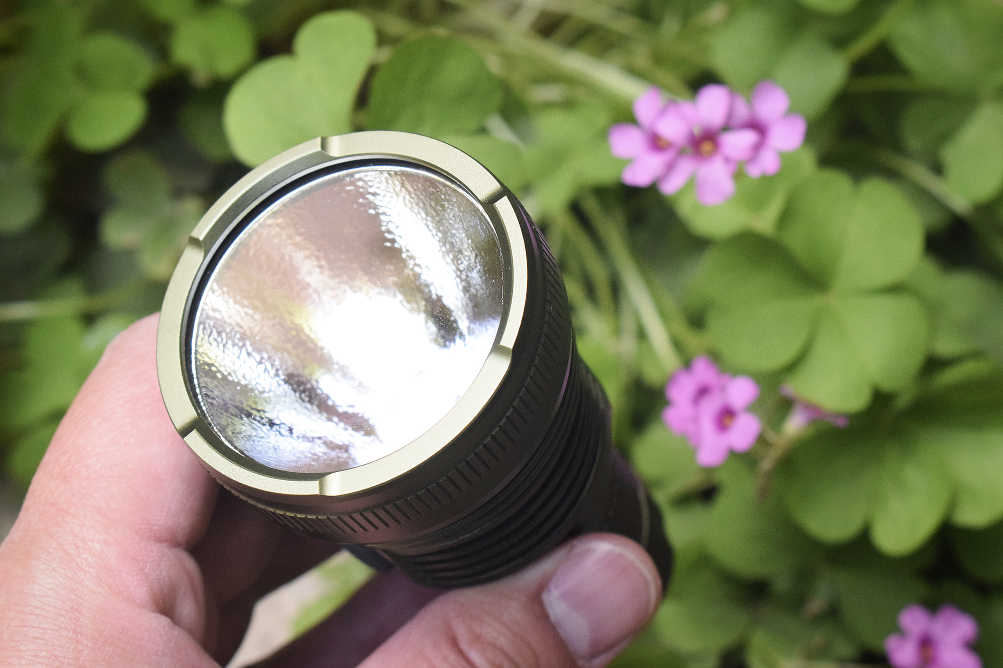 杩堢壒鏄庨叿matemincofw1娴嬭瘎,杩堢壒鏄庨叿matemincofw3