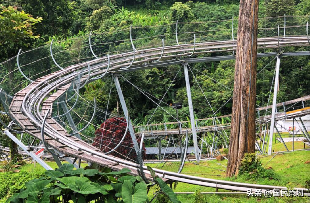 清迈人气最高咖啡厅,“丛林+咖啡”创意玩法,“火”在三大原因