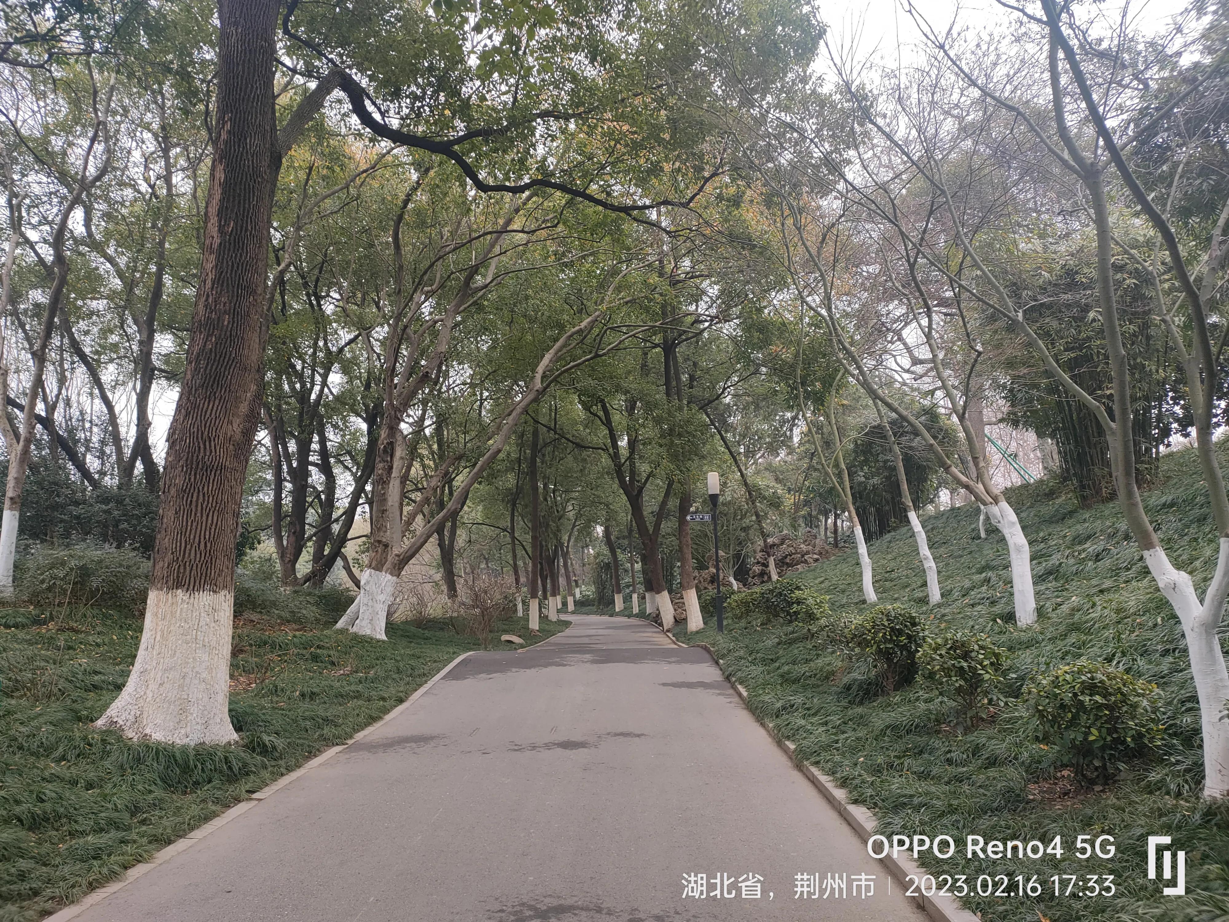 沙市中山公园简介,沙市中山公园