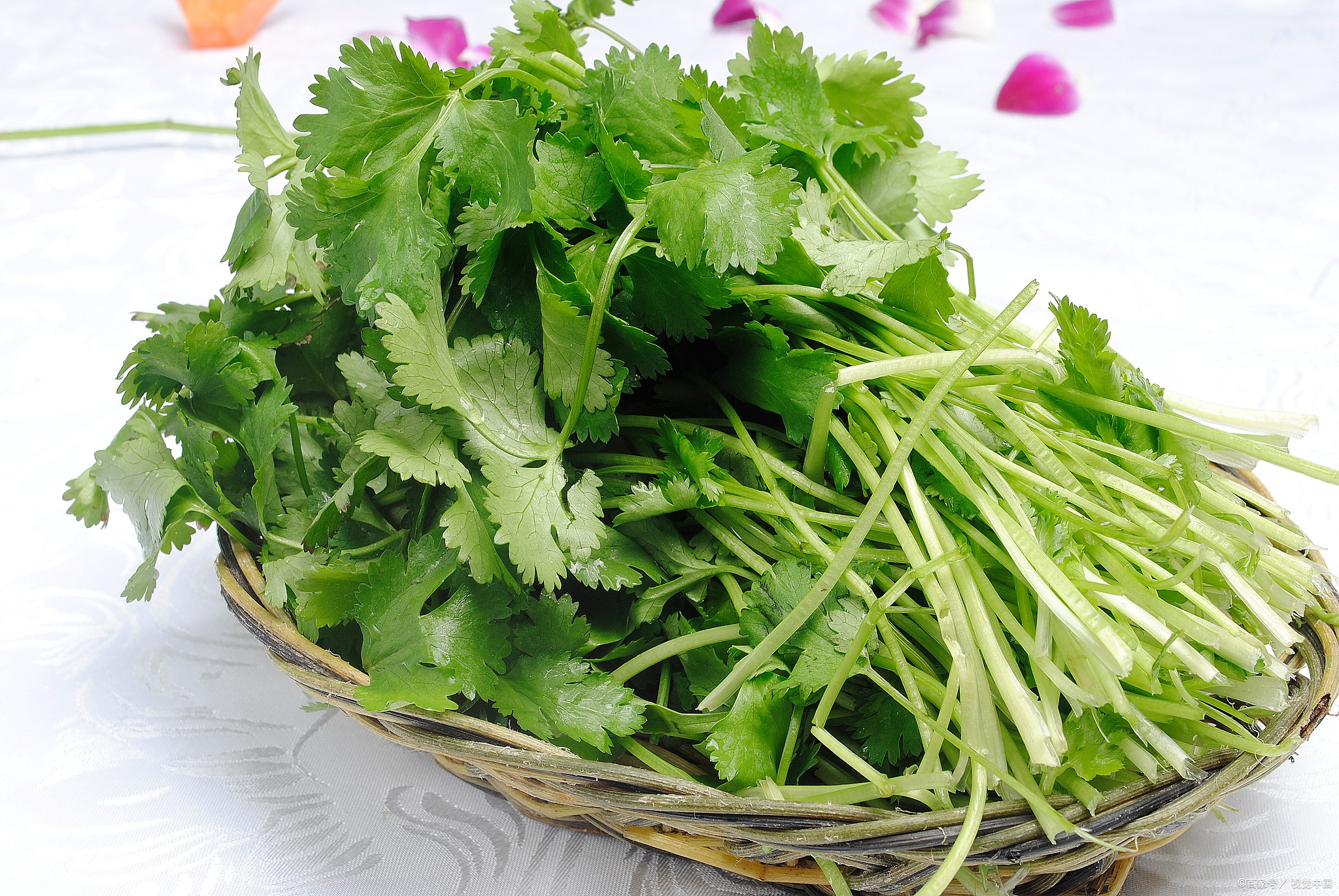 养阳吃什么食物最好,夏季养阳的食物有哪些