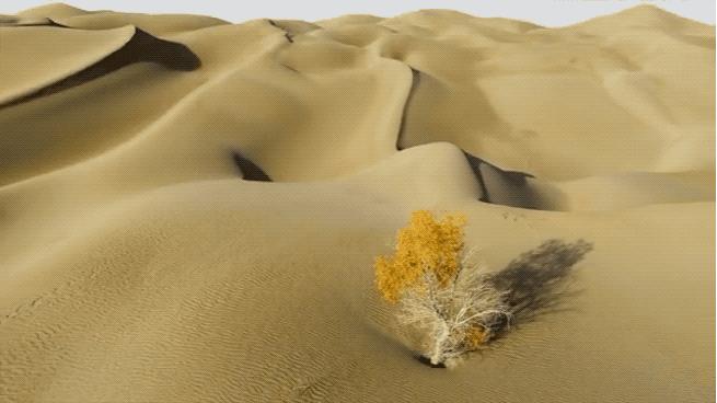 96岁还在奔波工作，这老爷子做出了今年9.8分神片