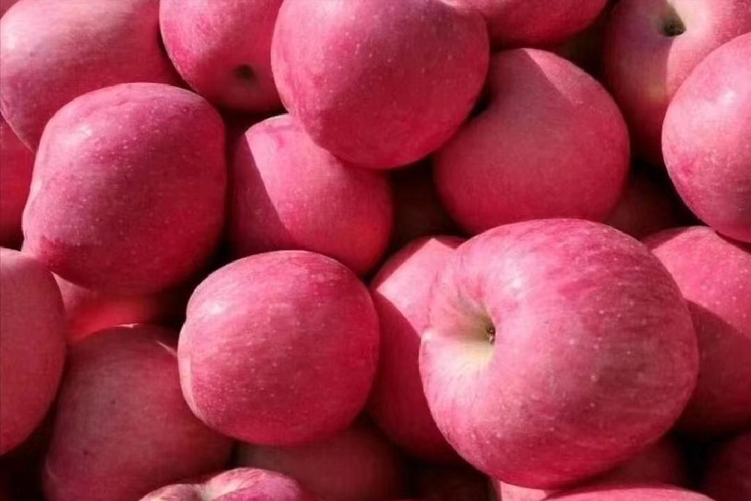 四面楚歌还能走远吗,四面楚歌唱了几天