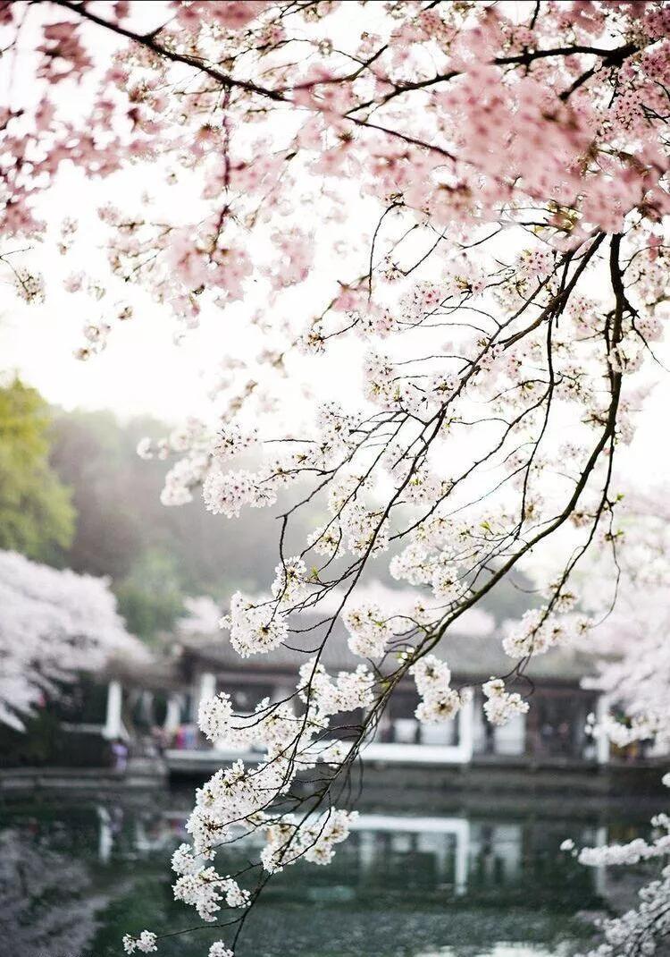 学习心理学，获益匪浅！——我自学心理学的几点重要感悟