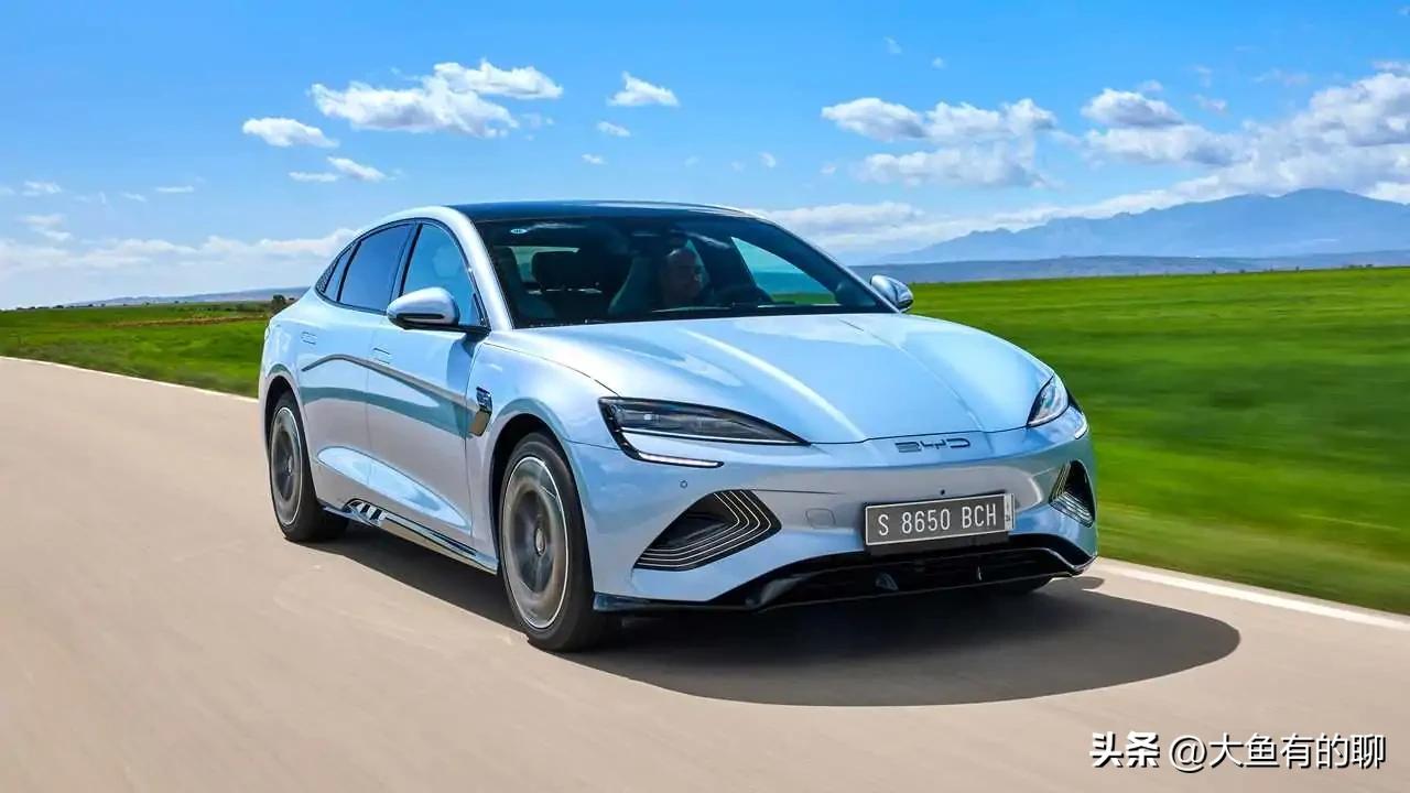 各车企的电动车品牌,中国电动车企未来谁最有潜力