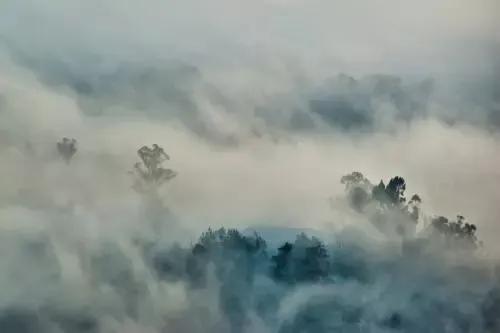 课文雾在哪里预习笔记,二年级上册雾在哪里课文笔记