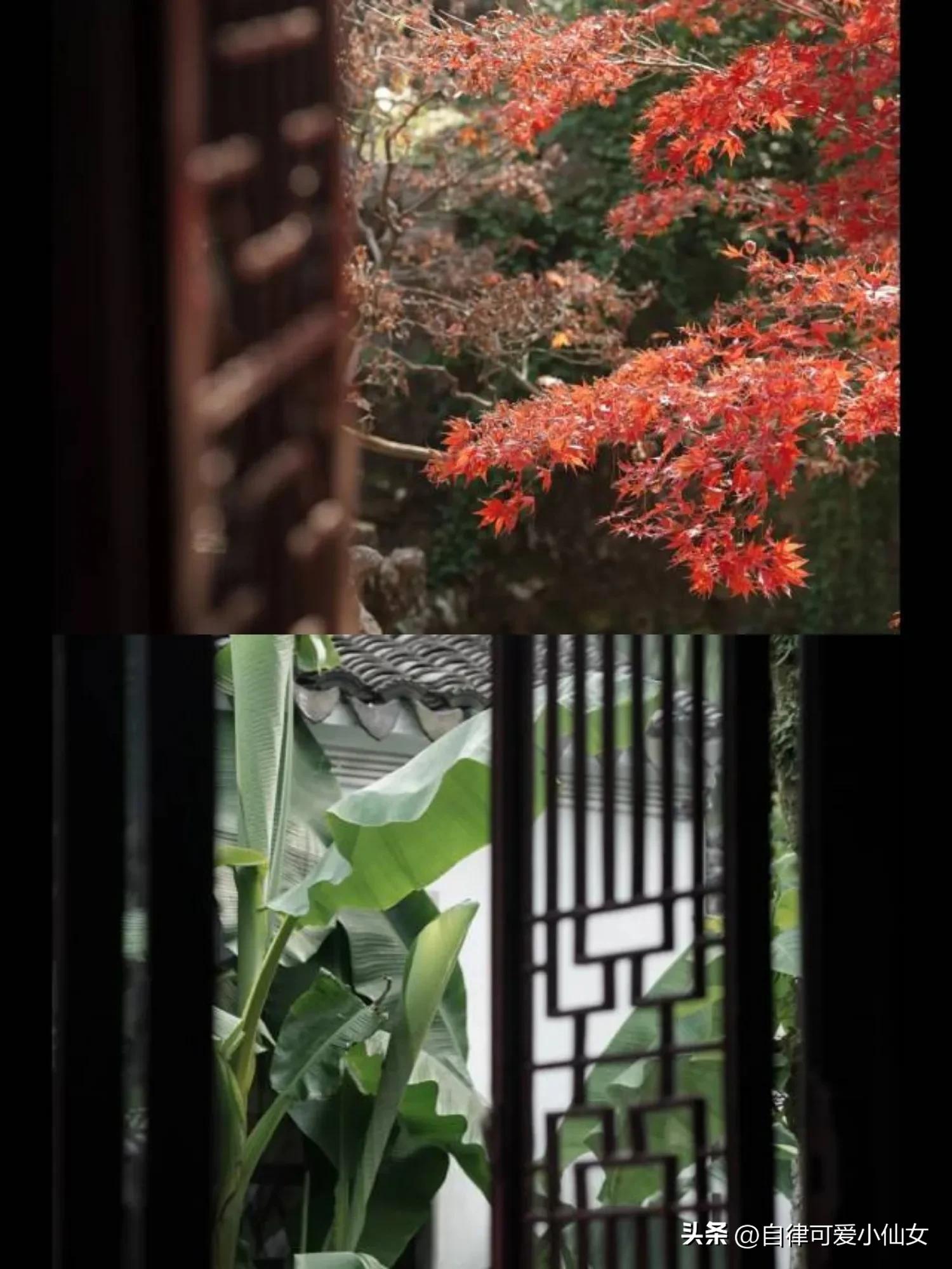 中国园林看江南江南园林看苏州,苏州园林江南园林甲天下