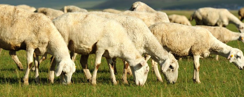 专业冷门但又不想复读,冷门又容易入职体制内专业