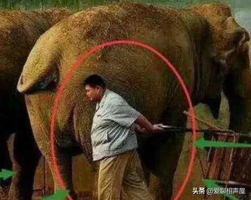 渚渿鐩稿０鏃╂湡楂樻竻,渚渿鐩稿０鏃╂湡缁忓吀