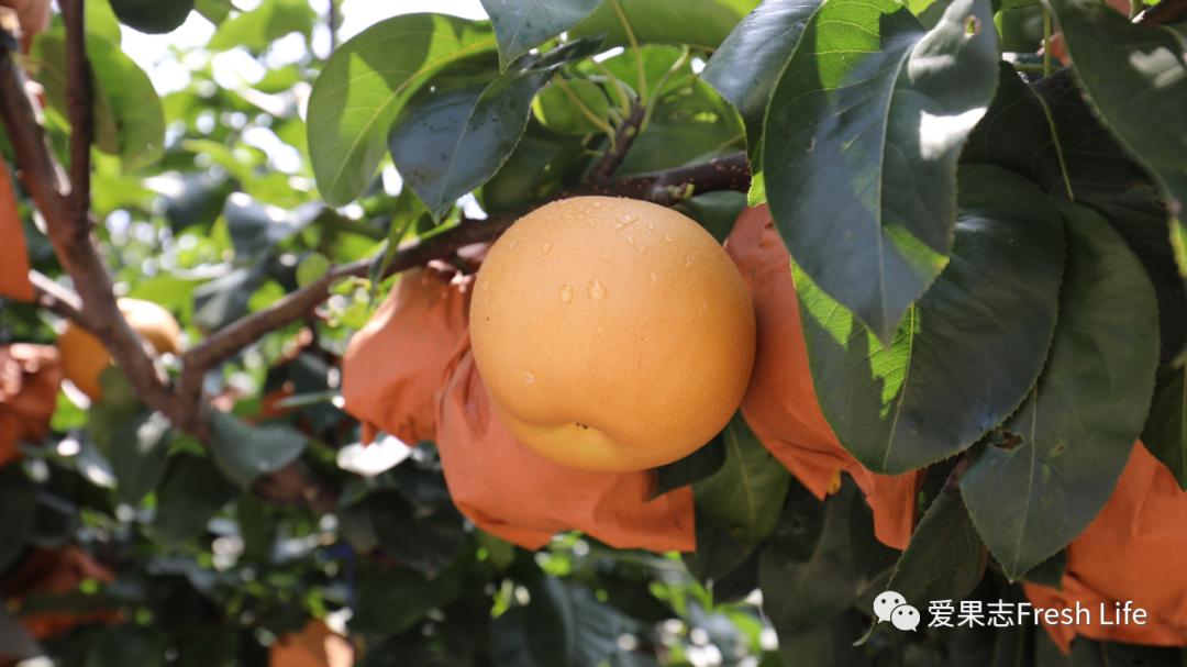 百分之80的人都踩坑的四个细节,90%的人都会踩的雷区