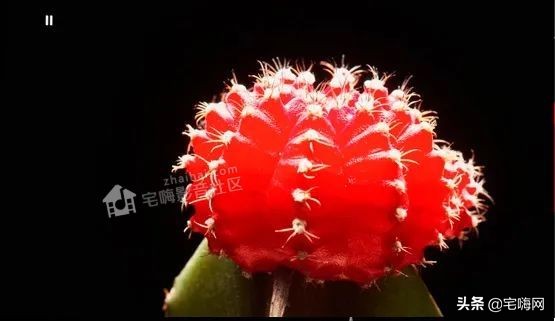 samsung三星sgh-e808,三星激光电视lsp7t和lsp9t