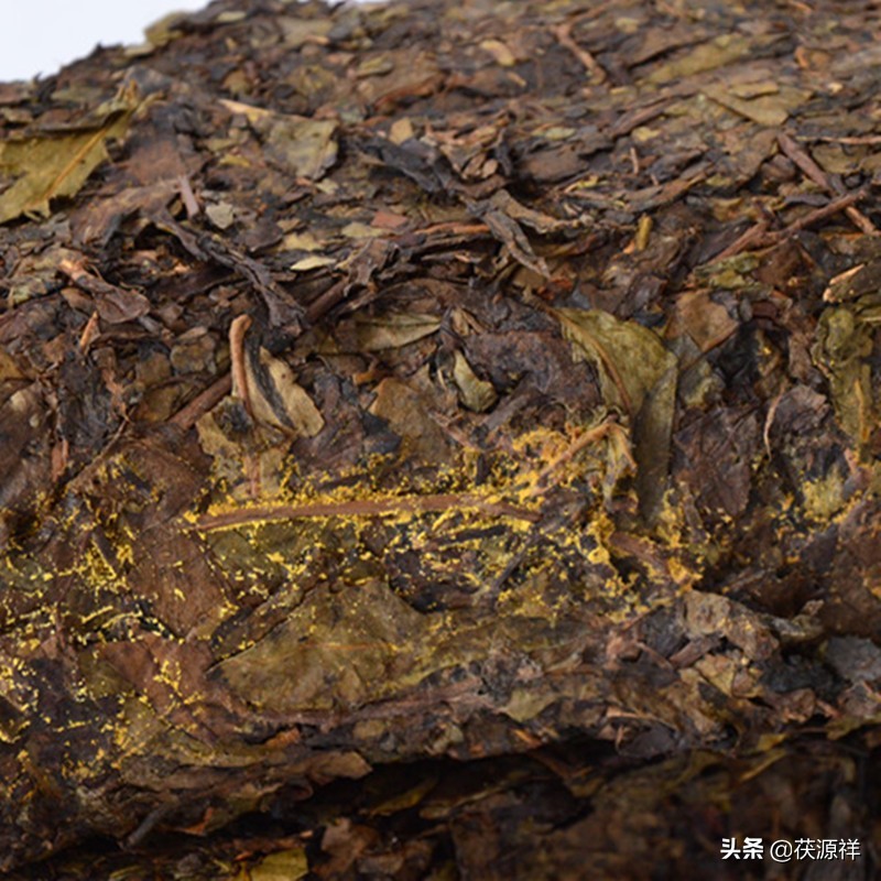 泾阳茯茶秦韵,泾阳茯茶荣誉