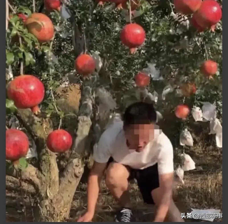 做什么是既做公益又赚钱,普通人做公益怎么赚钱