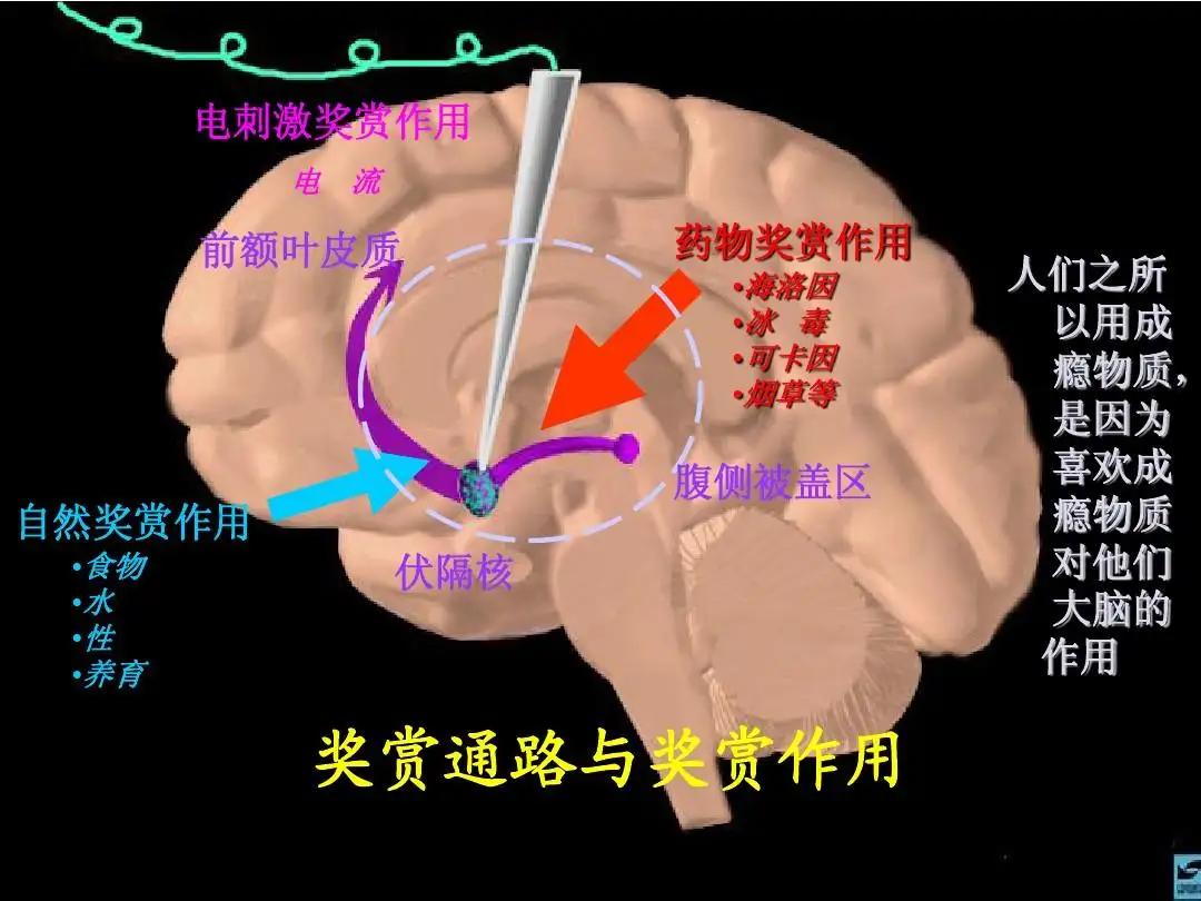 自以为是的消遣！“奶头乐”逐渐蔓延，多少学生深陷其中却不自知