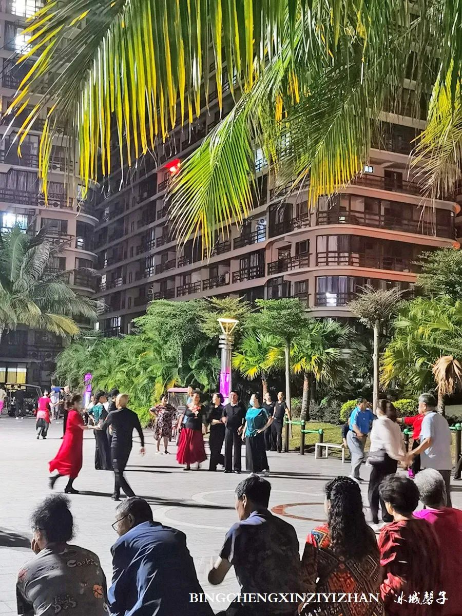 旅居海南：九所新区的浪漫情