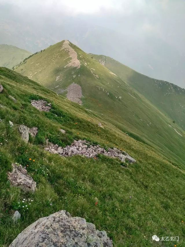 小五台山金莲花坡,小五台金莲花