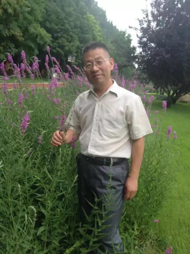 德州减河湿地公园一日游攻略,德州减河湿地公园游览记