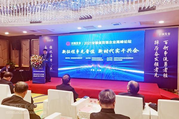 海螺集团世界500强排名,海螺集团在安徽省排名第几