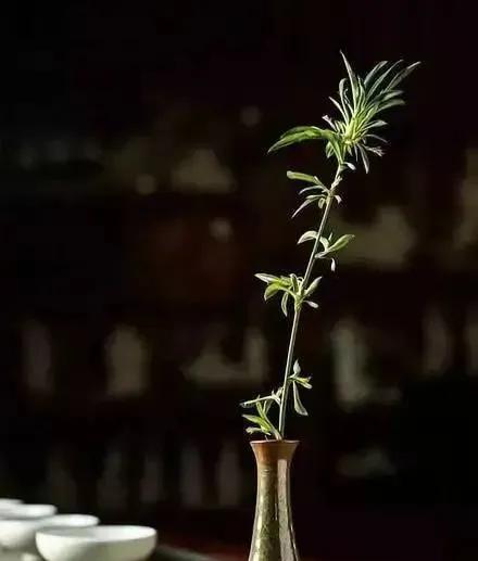 人间沧桑人走茶凉,道不尽世态炎凉诉不完一生沧桑