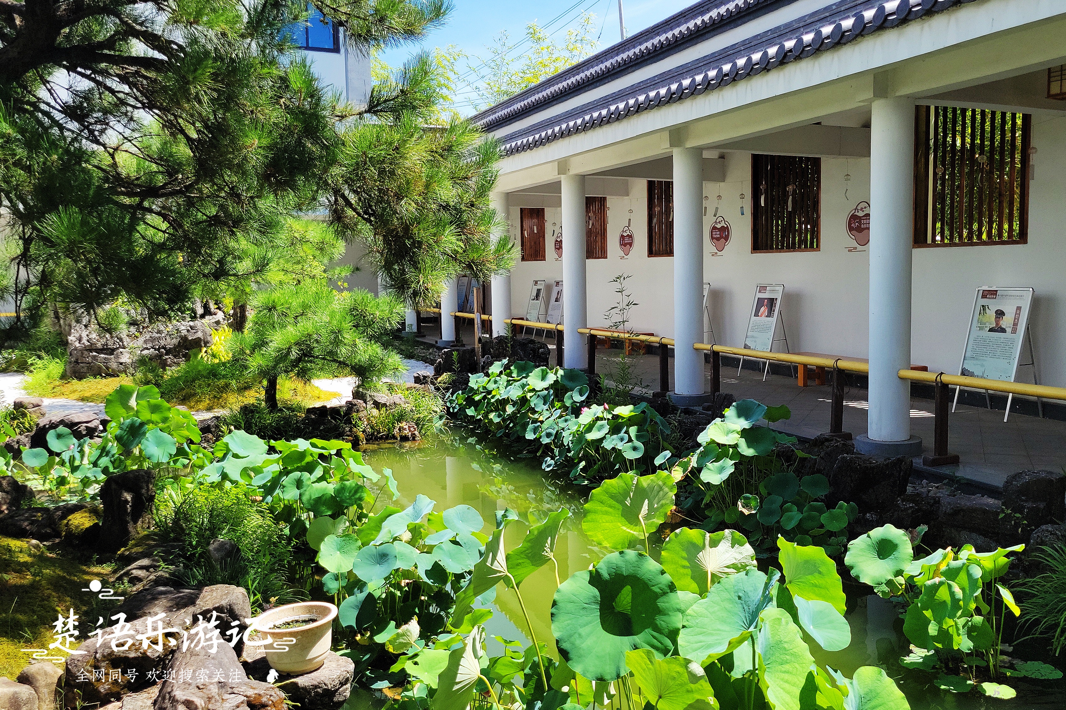 宁海这里成为热门景点，据说可以“假装在京都”，真实情况如何？