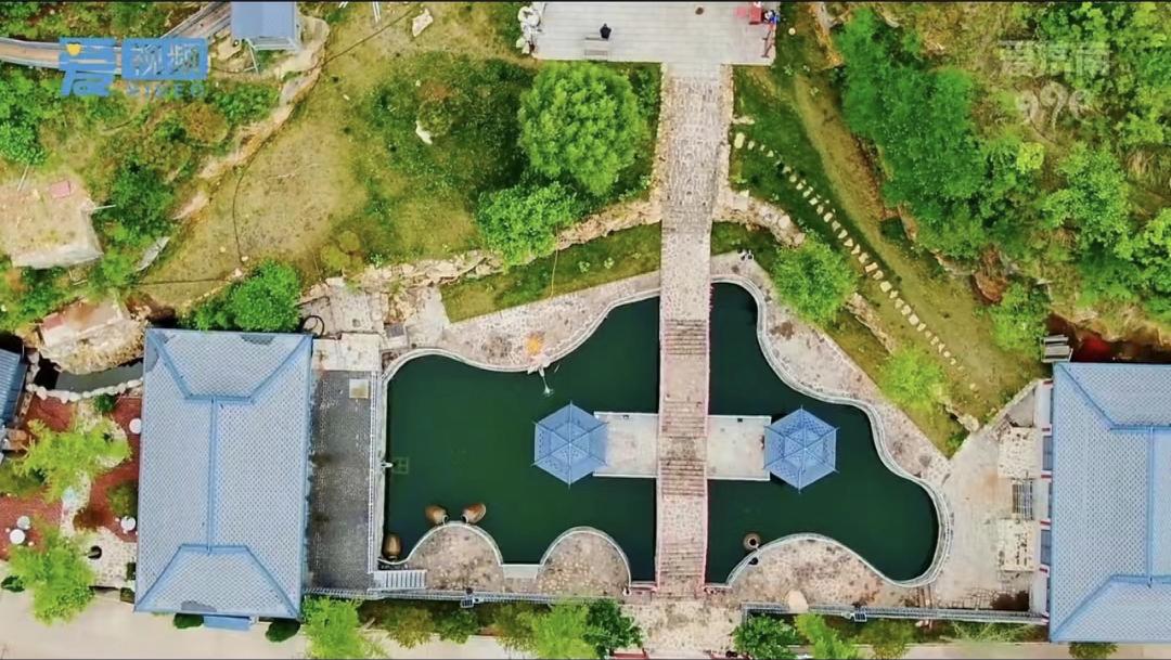 一棵树守护一眼泉一眼泉滋润一棵树