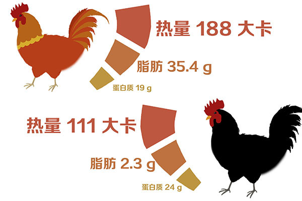 想要头发变黑吃哪些黑色食物,黑色食物有助黑发吗