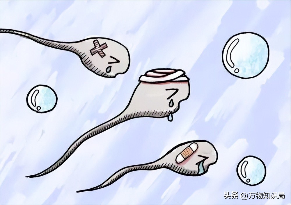 进入女性体内后，没“受精”成功的精子都去哪儿了？既好笑又心疼