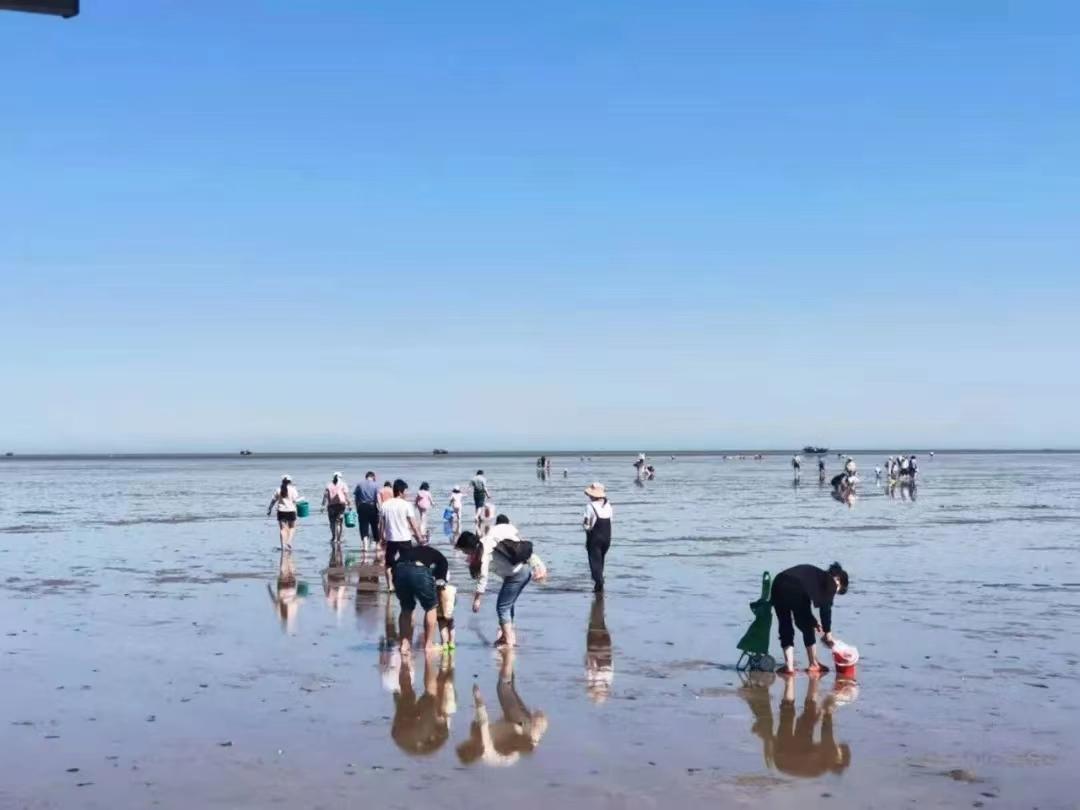 在东营五一假期应该去哪玩,东营人五一旅游攻略自由行