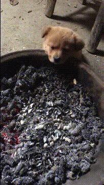 现在生意都难做的高情商回复,最近生意太好了高情商回复