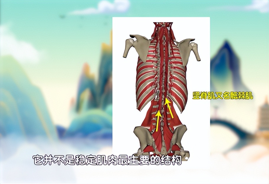 腰疼120分钟自愈方法,腰疼50岁最快缓解方法