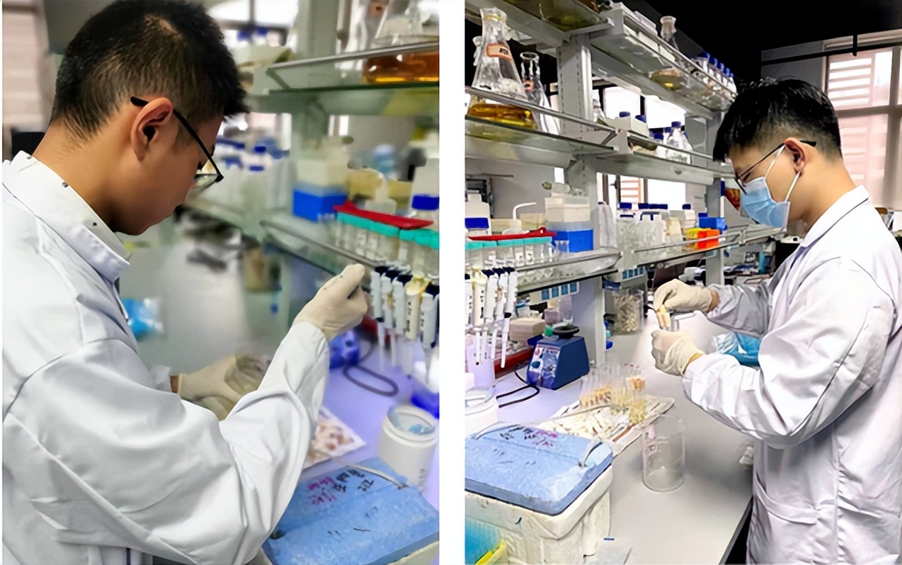 天津大学强基计划直播咨询会,2020年天津大学强基计划名单