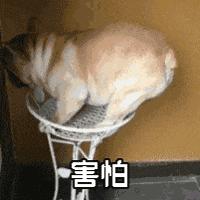 不想和我玩游戏你就直说表情包,跟你聊天还不如跟客服聊天表情包