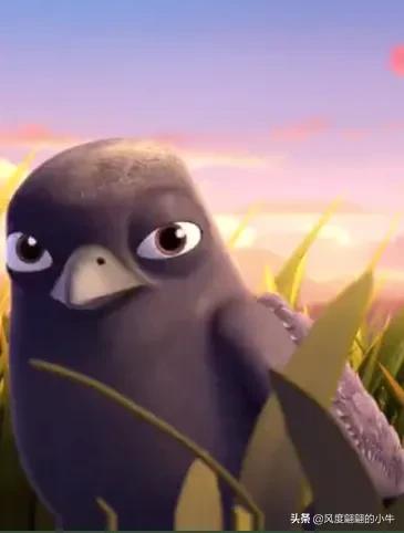 熊出没最厉害的角色,熊出没历代角色大全