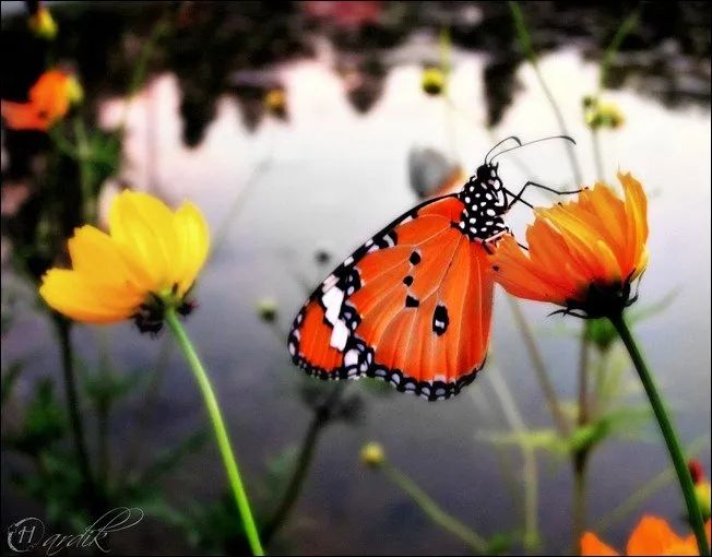 100幅经典摄影作品欣赏,100幅精品摄影图