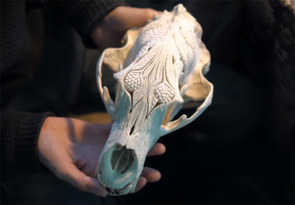 夫妻二人买下海岛过起隐居的生活,夫妻隐居小岛与世隔绝