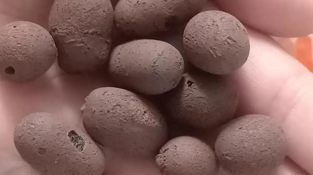 花盆里面撒几十粒复合肥可以吗,盆里扔两样东西养花十年不烂根