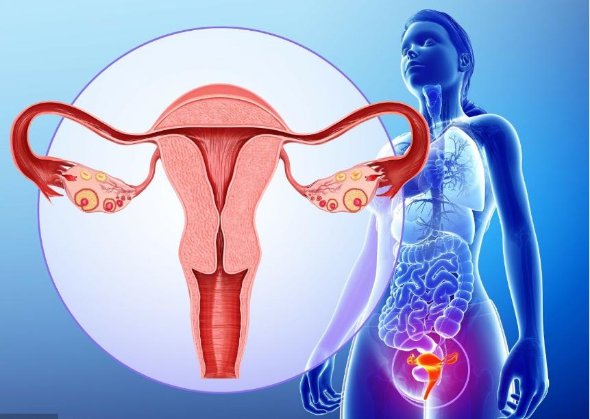 妇科检查前的小常识了解一下,妇科检查前不要犯这些低级错误