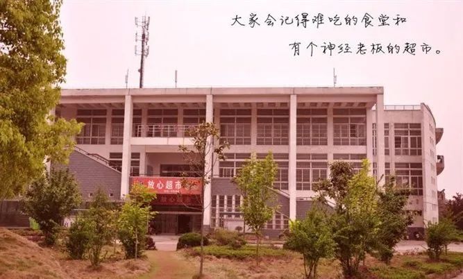 新洲区一中好吗,新洲一中情况如何