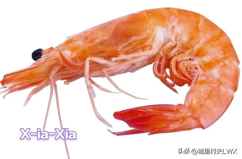 拼音不认识怎么学拼音,不懂拼音怎么用拼音打字