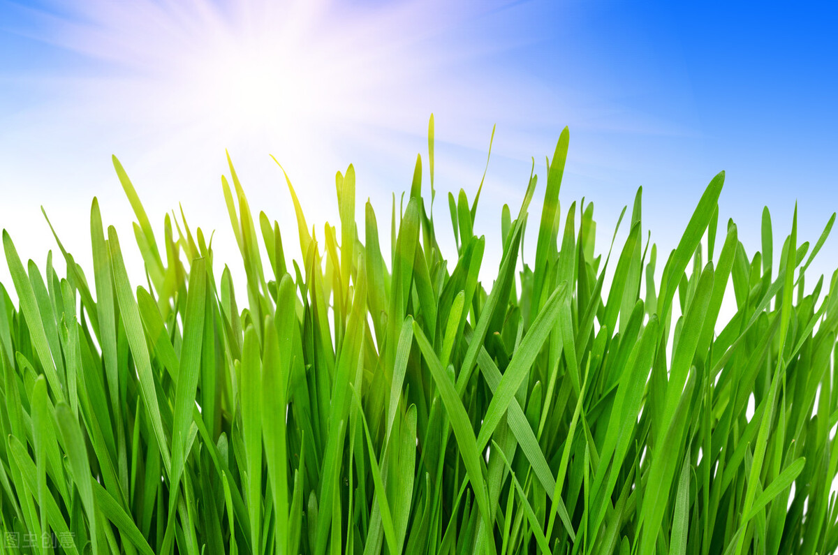 前列腺炎阴虚火旺型用药,前列腺炎清热祛湿温阳化气中药方