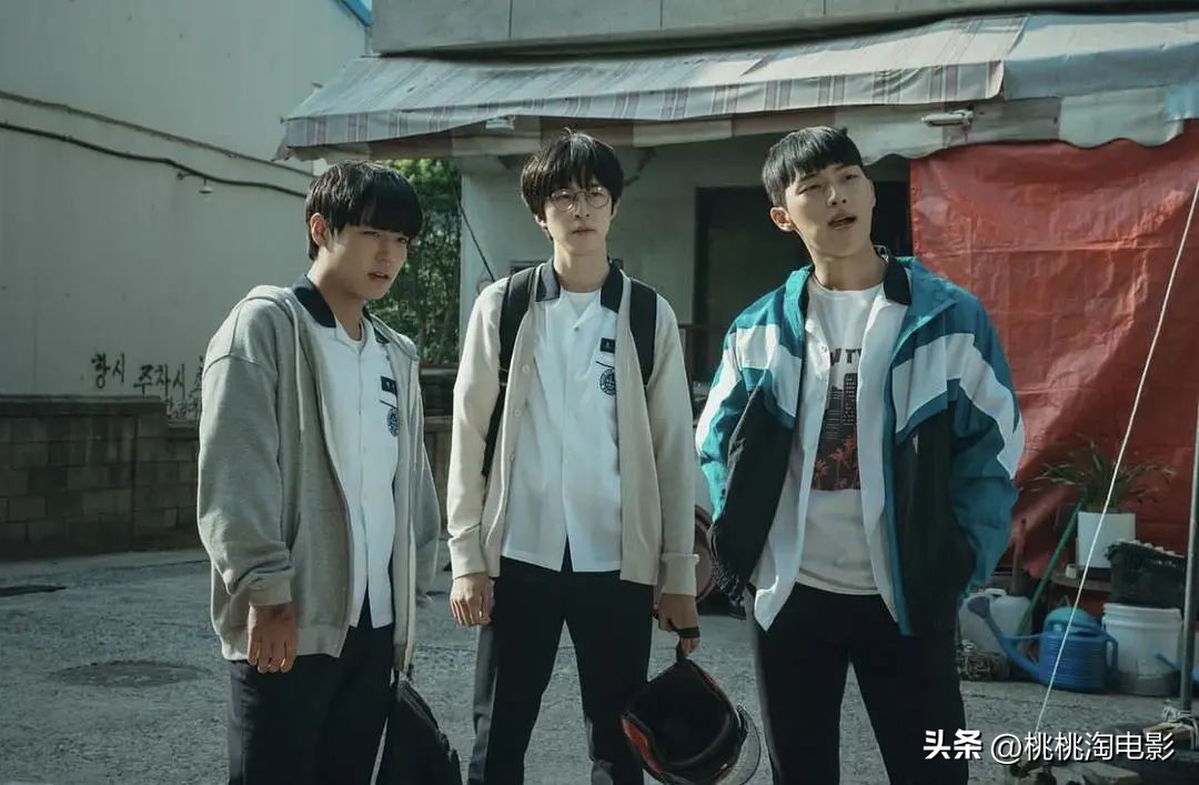 一部剧8.8分怎样,9.2分神剧真实到令人窒息