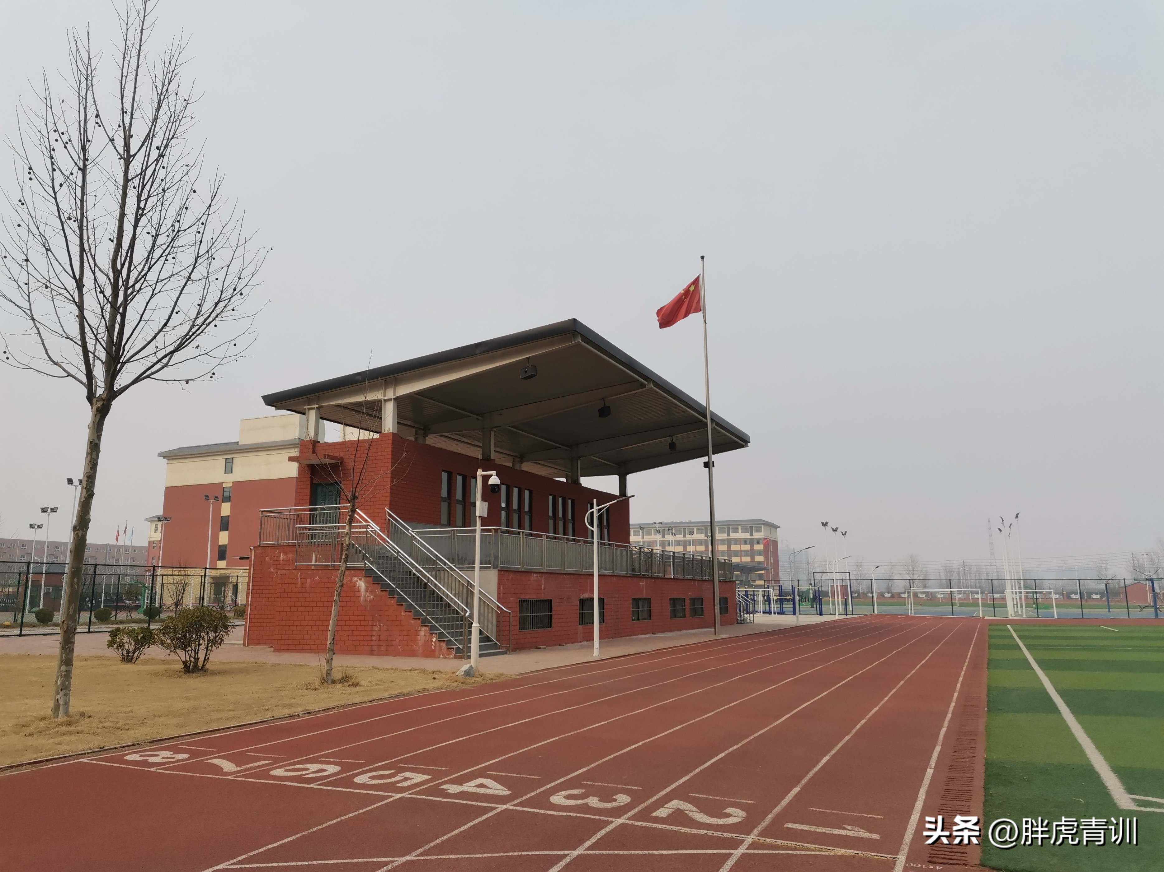 鏍″洯瓒崇悆1v1姣旇禌,鏍″洯no.1瀹樼綉