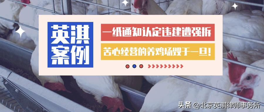 养鸡场被违法拆除,养鸡场被关停后又说违建该怎么办