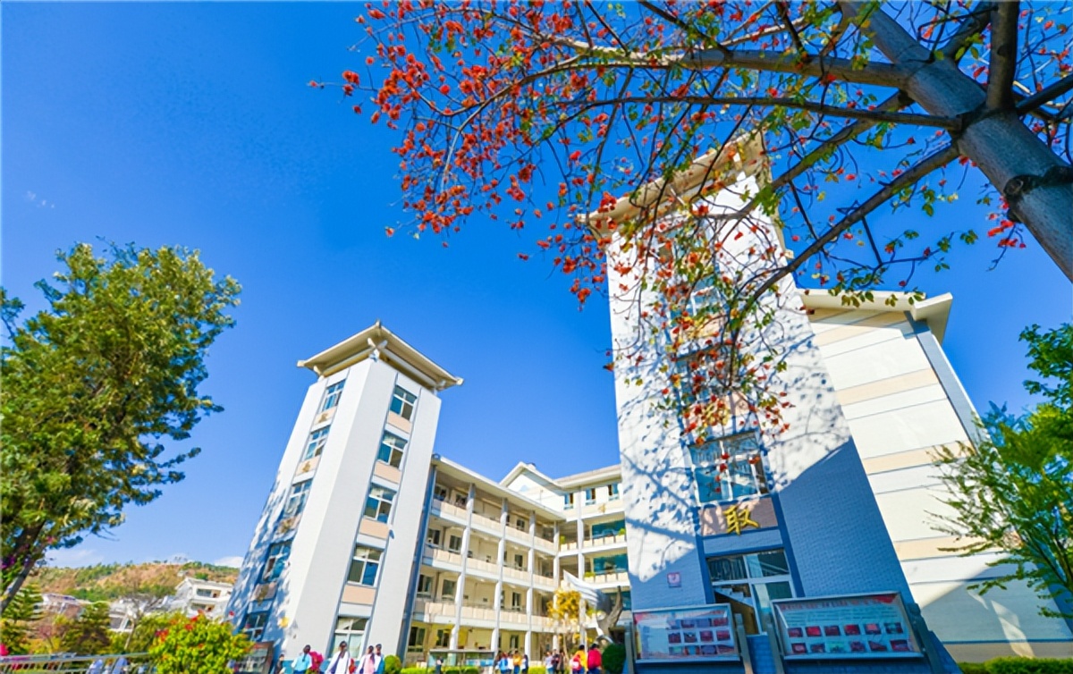 攀枝花家门口的好学校,攀枝花大河中学学校官网